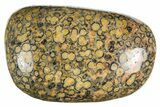 Large Tumbled Leopard Skin Jasper Stones - Photo 3